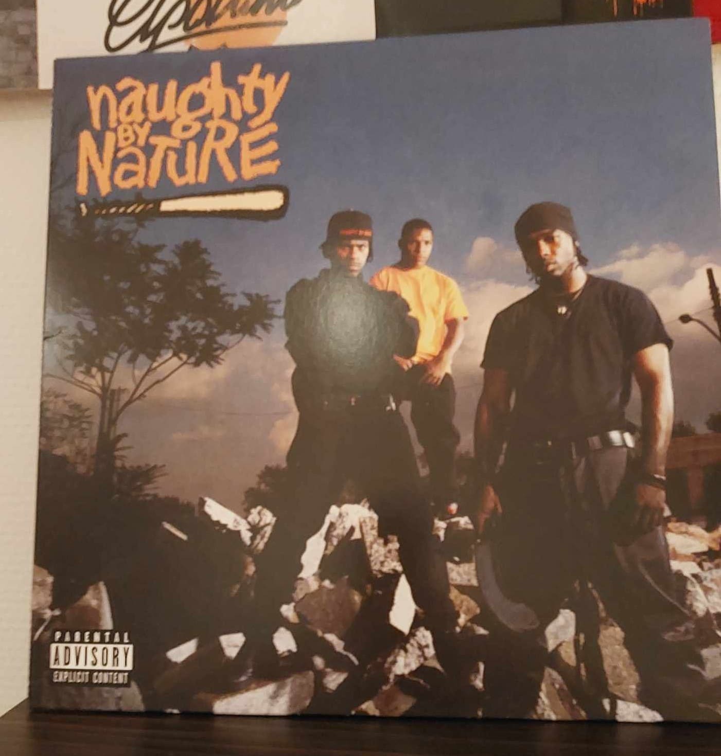 Naughty by Nature